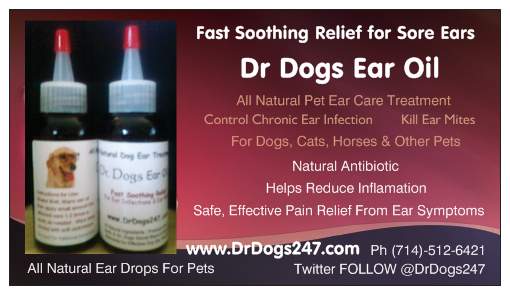 homemade ear drops for dogs